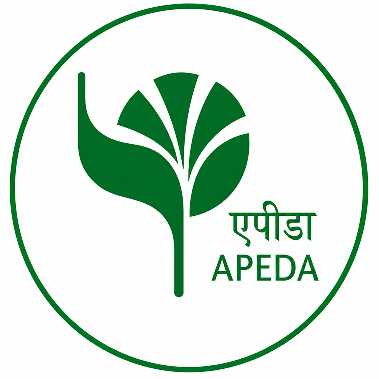 APEDA Certification